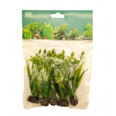 ΔΙΑΚΟΣΜΗΤΙΚΟ ΦΥΤΟ ΕΝΥΔΡΕΙΟΥ 5ΤΜΧ ΣΕ ΔΙΑΦΟΡΑ ΣΧΕΔΙΑ